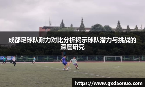 成都足球队耐力对比分析揭示球队潜力与挑战的深度研究